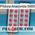 Píldora Anaconda 5000 19